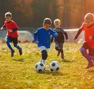 影帝桂冠得,娱乐圈六位,最频获殊荣,B体育官网,B体育直播,体育赛事直播,足球直播