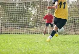 中阿经贸合,作迈向数字,未来,B体育官网,B体育直播,体育赛事直播,足球直播