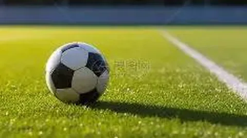 B体育 资讯 140558 2pl