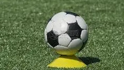 B体育 资讯 115814 0tt