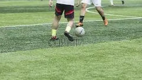 B体育 资讯 141445 exd