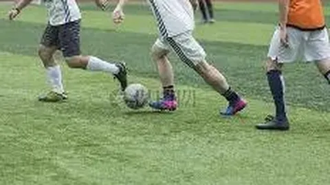 隆德教育体育资讯：11月19日周三速递